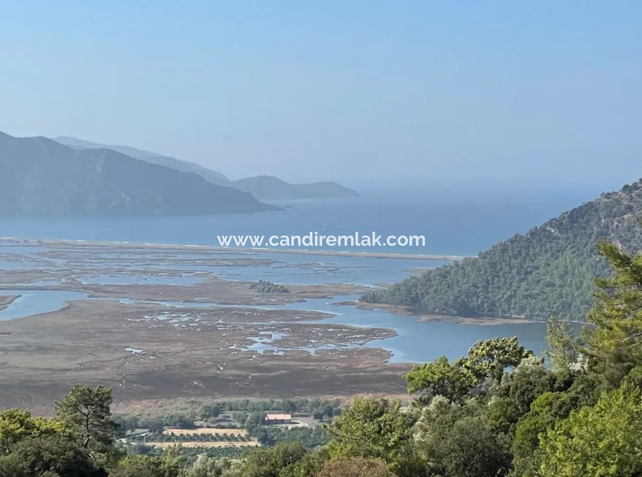 2620M2 Land Field For Sale With Sea View Of Çandir