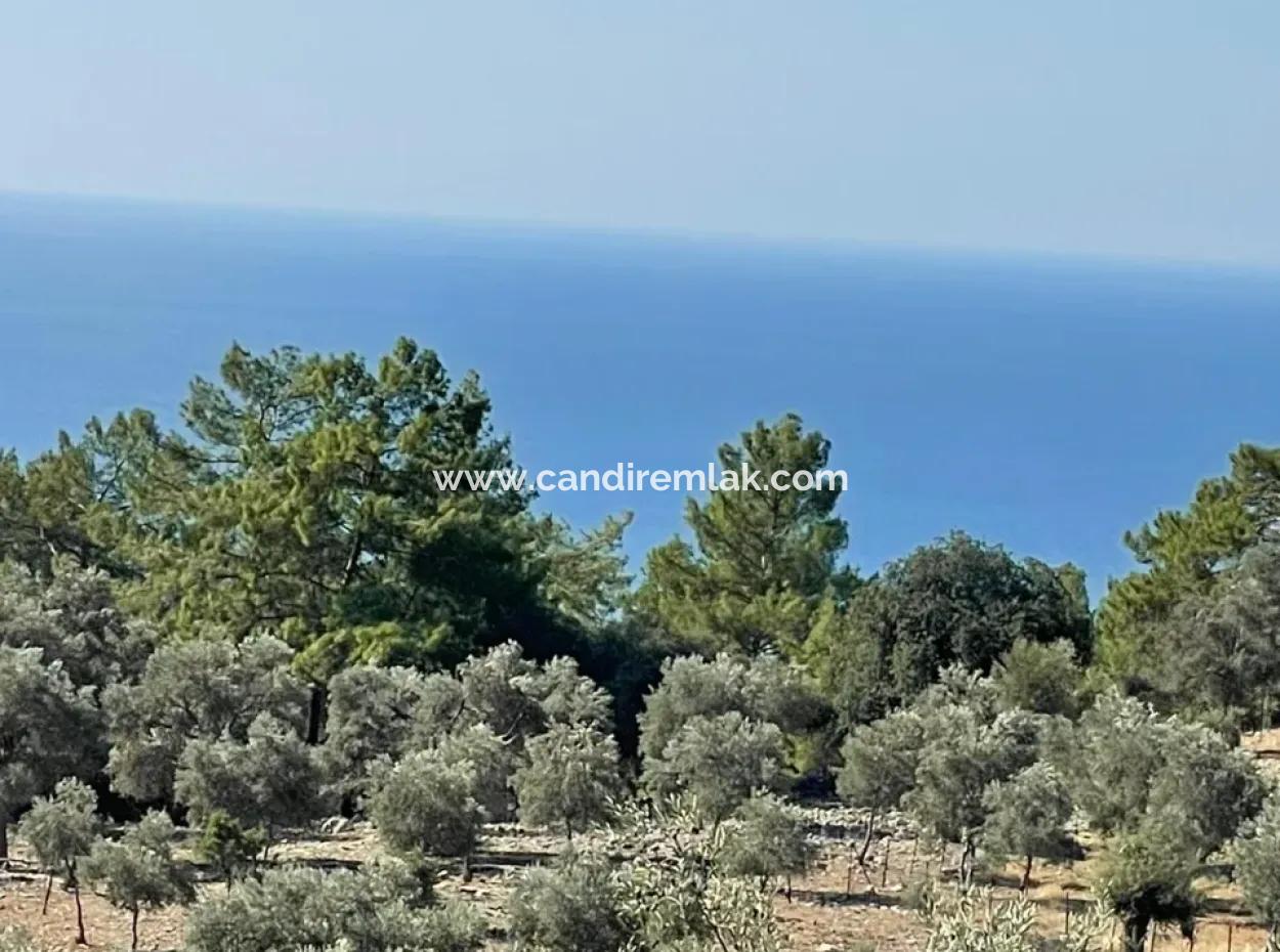 Land For Sale With Sea View Of Çandir