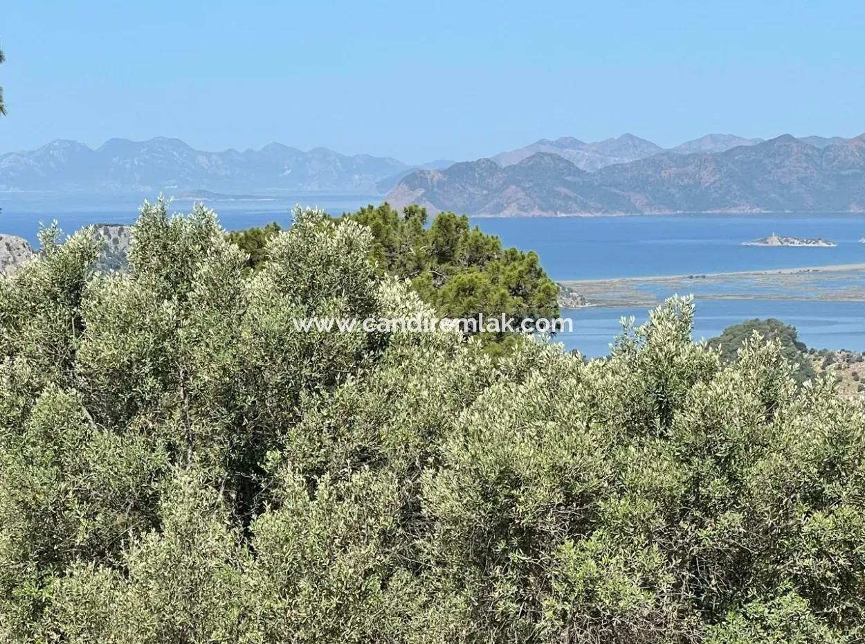 Land For Sale With Sea View In Gokbel