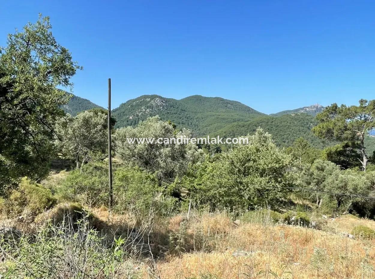 Land For Sale With Sea View In Gokbel