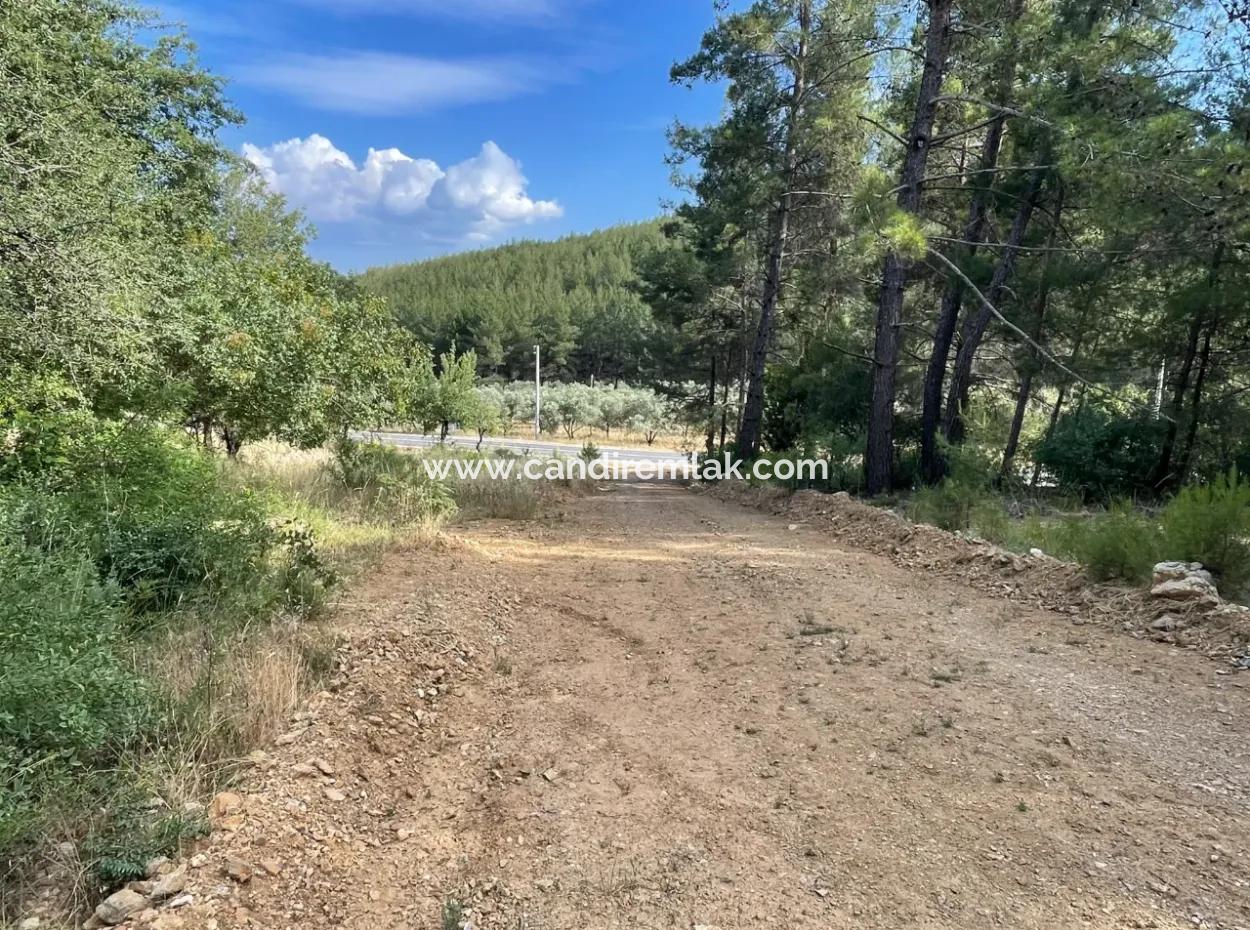 Land For Sale In Ula Armutchuk With 501M2 Zoning