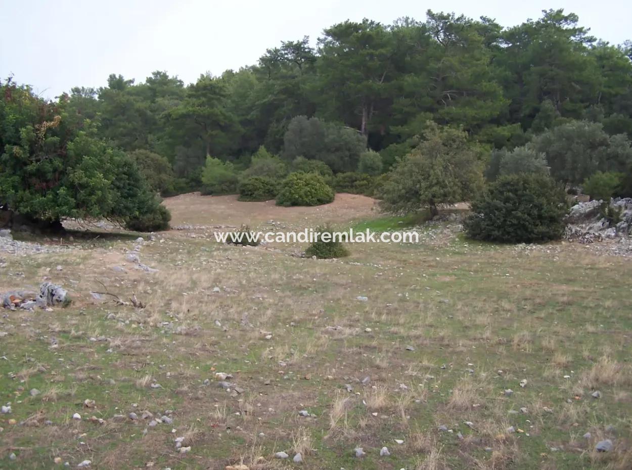 House For Sale In Sarsalada Sea View 4274M2 Plot