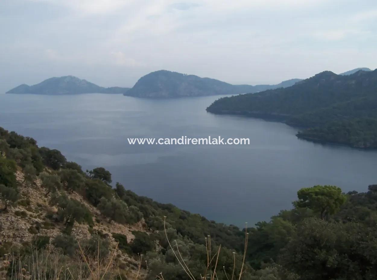 House For Sale In Sarsalada Sea View 4274M2 Plot