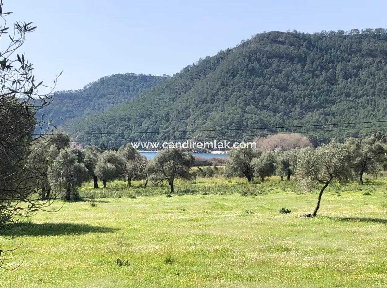 3250M2 Land For Sale In Ekincik With A View Near The Sea