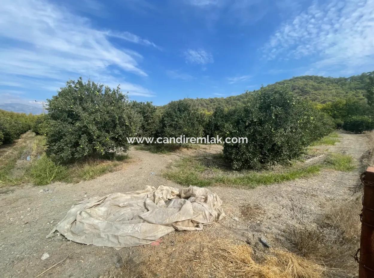 4000M2 Land For Sale Zoned In Village Built-Up Area In Tepearasin