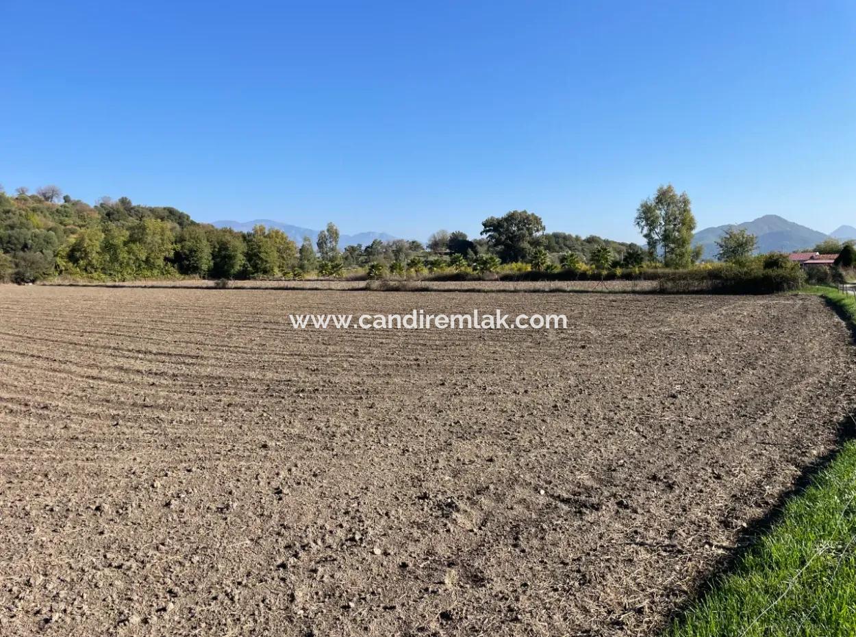 6254M2 Field For Sale Near Dalyan In Eskiköy