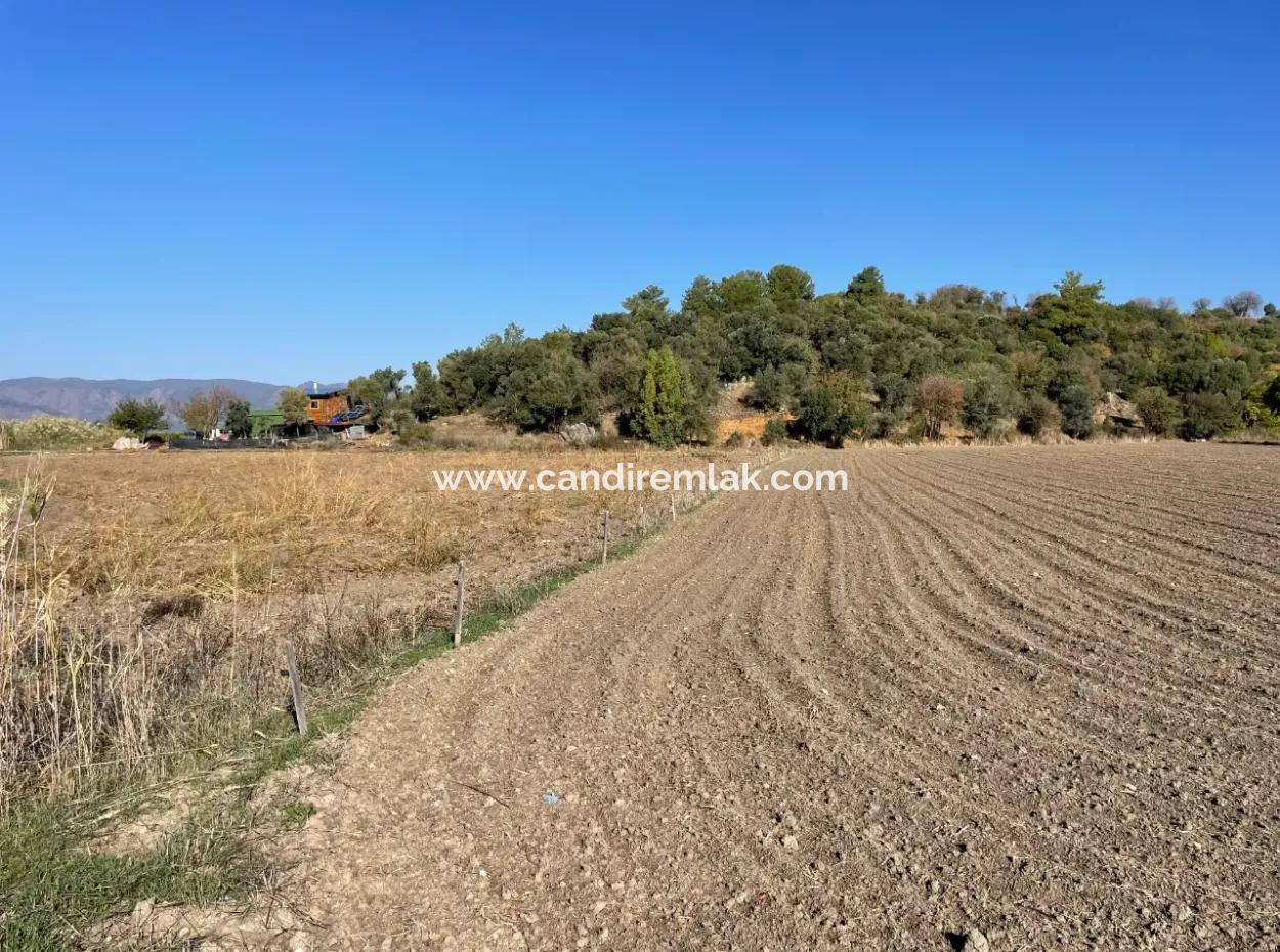 6254M2 Field For Sale Near Dalyan In Eskiköy