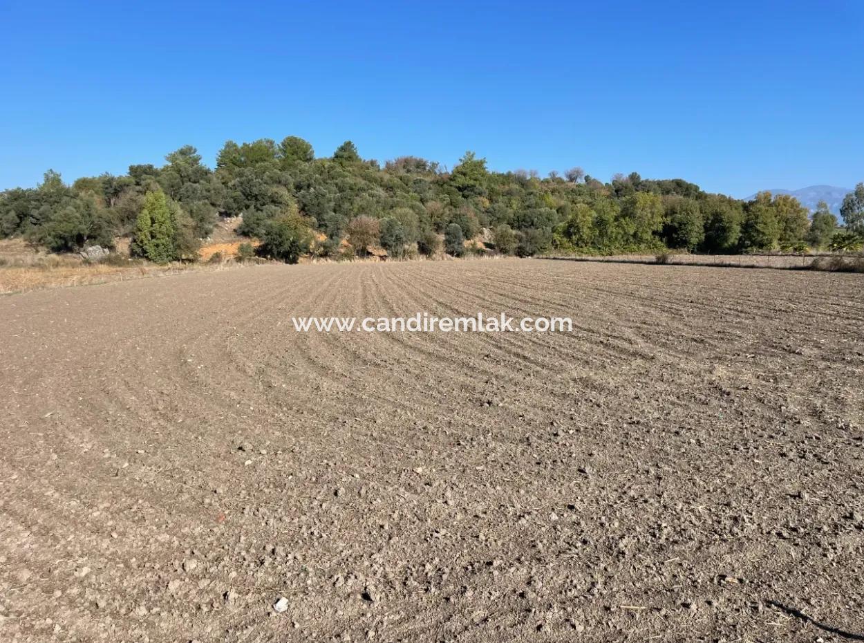 6254M2 Field For Sale Near Dalyan In Eskiköy