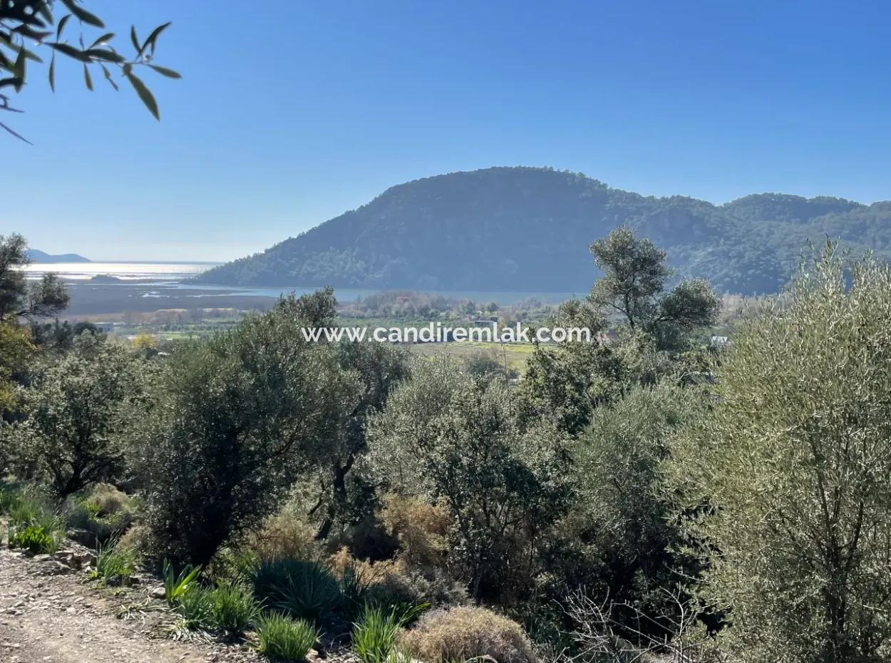 950M2 2B Field For Sale With Sea And Lake View In Çandır