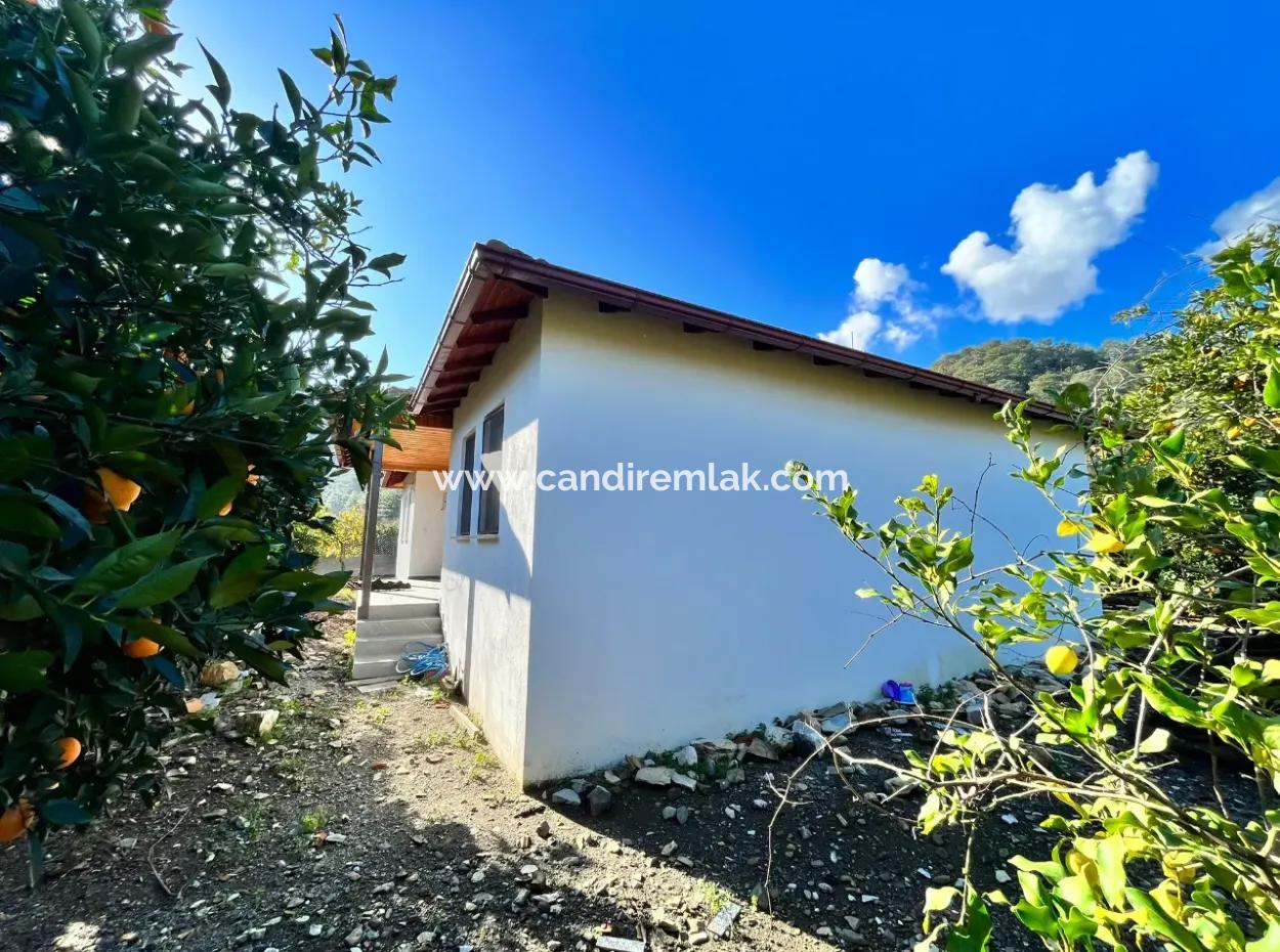 One-Storey House For Sale In 5000M2 Land In Çandır