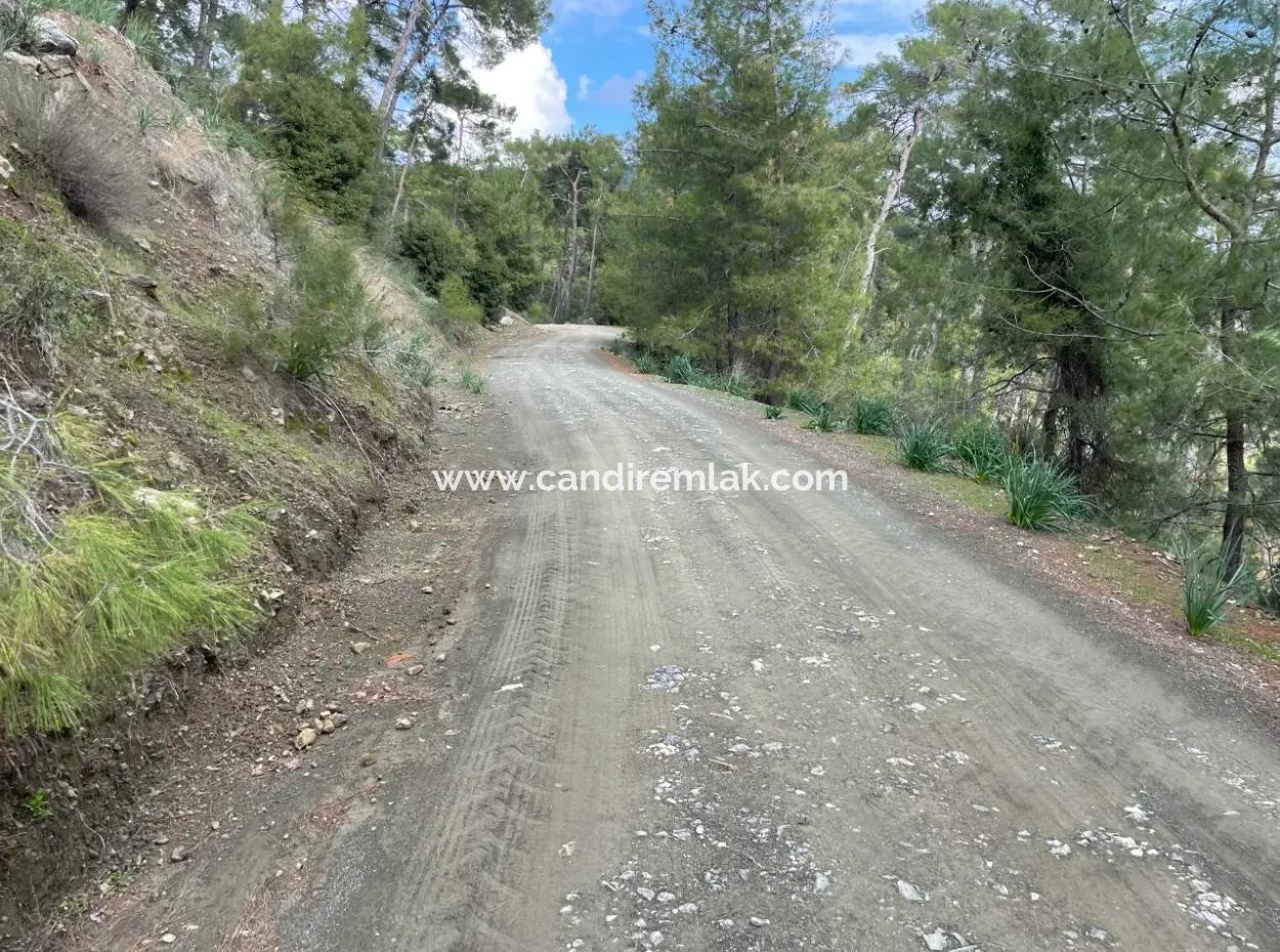 10,707M2 2B Field For Sale With Sea Lake View In Çandır