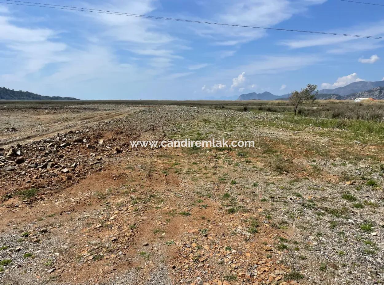 Dalyan Iztuzu Beach Road Zero 19,600M2 Field Land For Sale