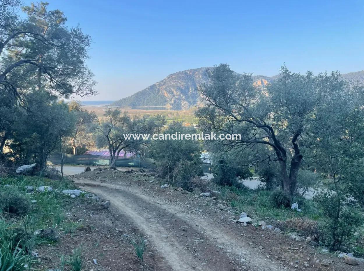 Çandır Lake Sea View 2,806M2 2B Field For Sale