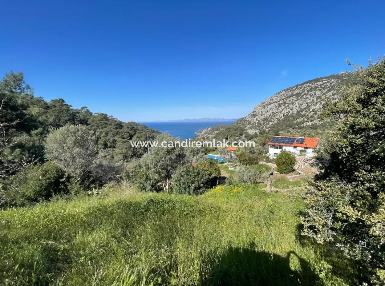 Village House For Sale In 4,400M2 Land With Full Sea View In Gökbel