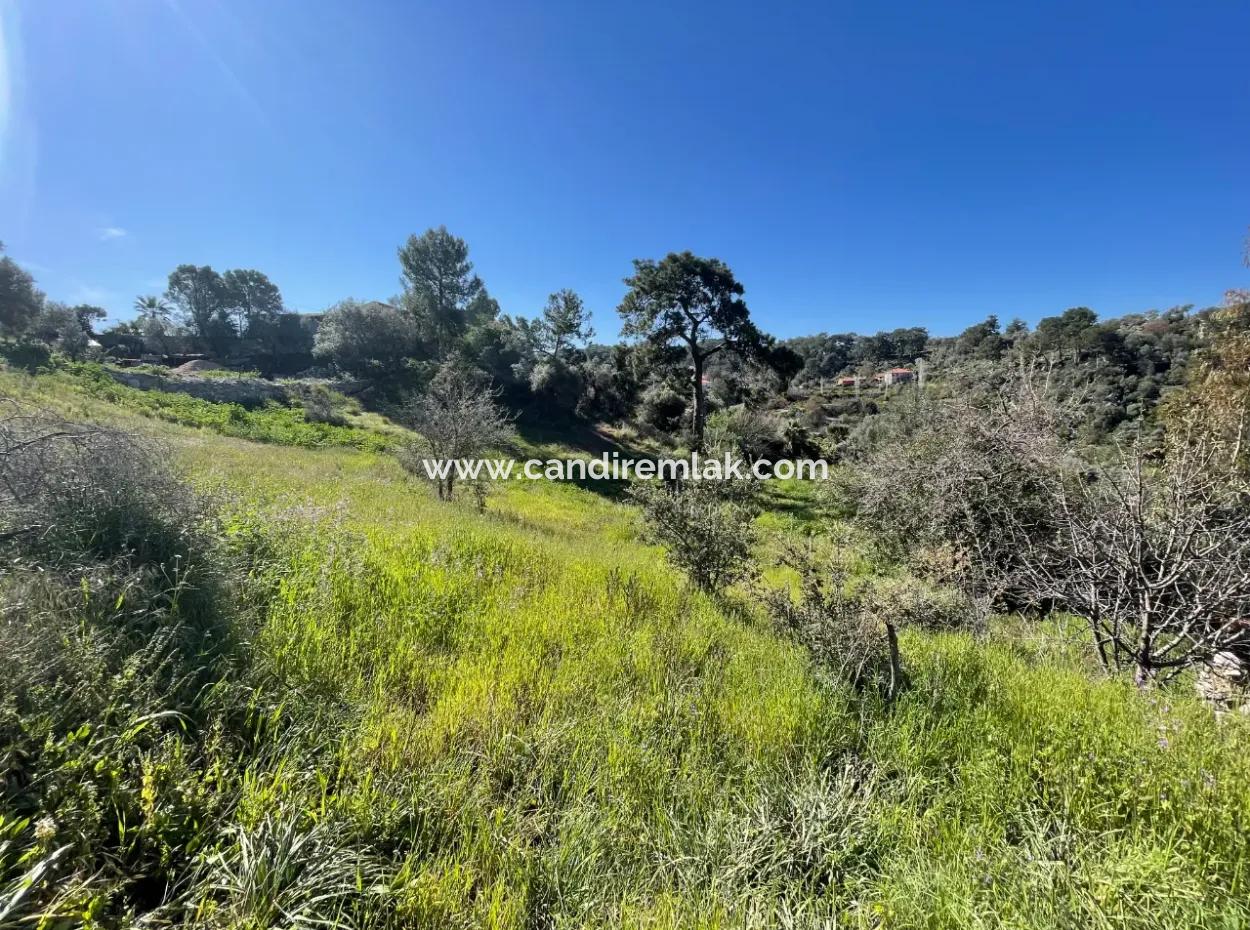 Village House For Sale In 4,400M2 Land With Full Sea View In Gökbel