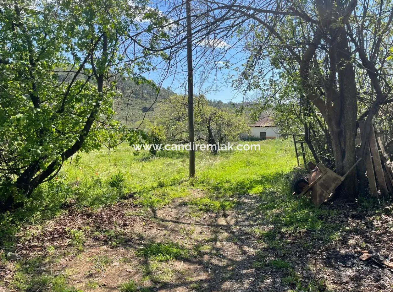 Village House For Sale In 5650M2 Field In Zeytinalann