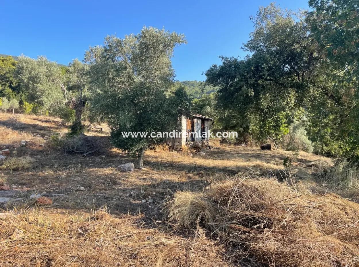 Çandır Full Sea And Lake View 500M2 2B Field For Sale