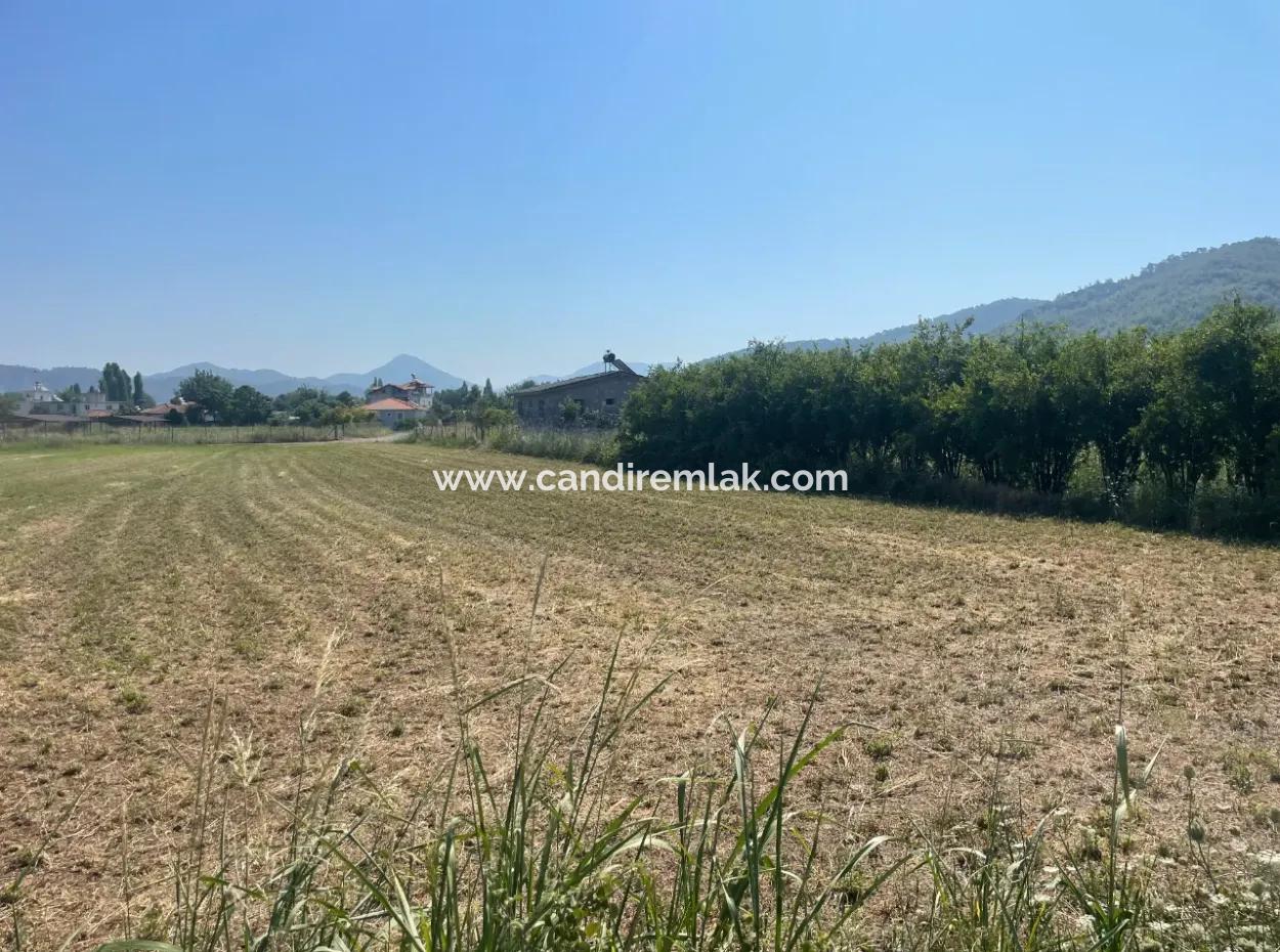 Land For Sale Of 2715M2 In The Built-Up Area Of The Village In Okçular