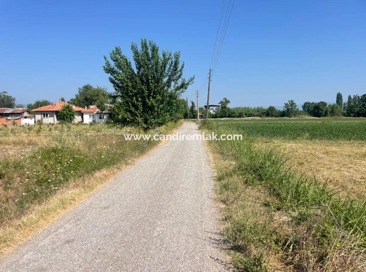 Land For Sale Of 2715M2 In The Built-Up Area Of The Village In Okçular