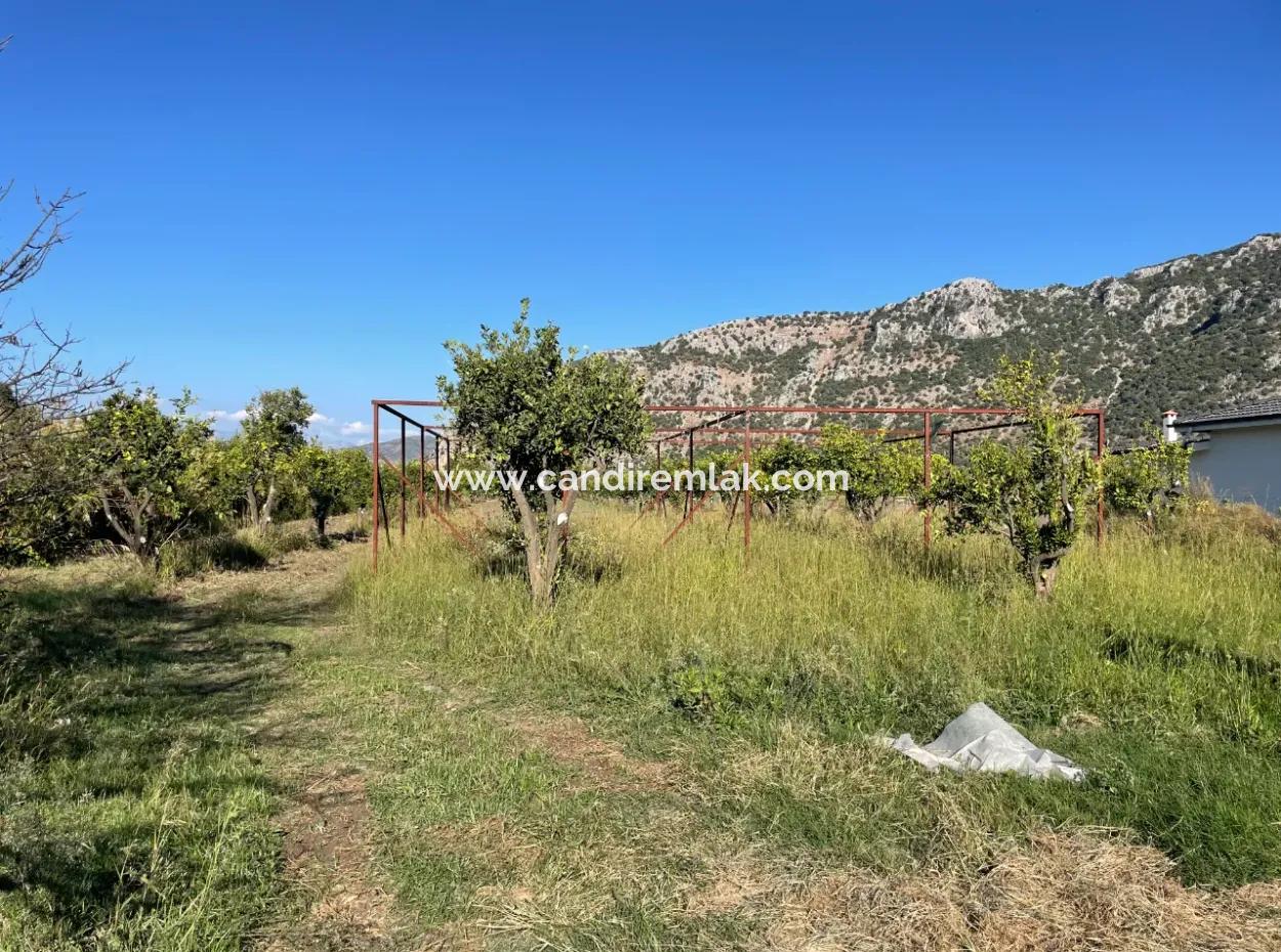 Land For Sale In Dalyan Close To The Center Of 6600M2