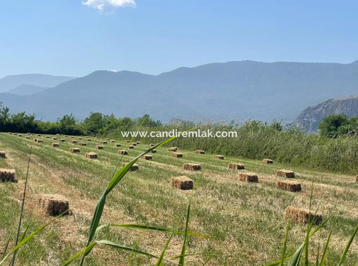 6,500M2 Field For Sale On The Iztuzu Road In Dalyan