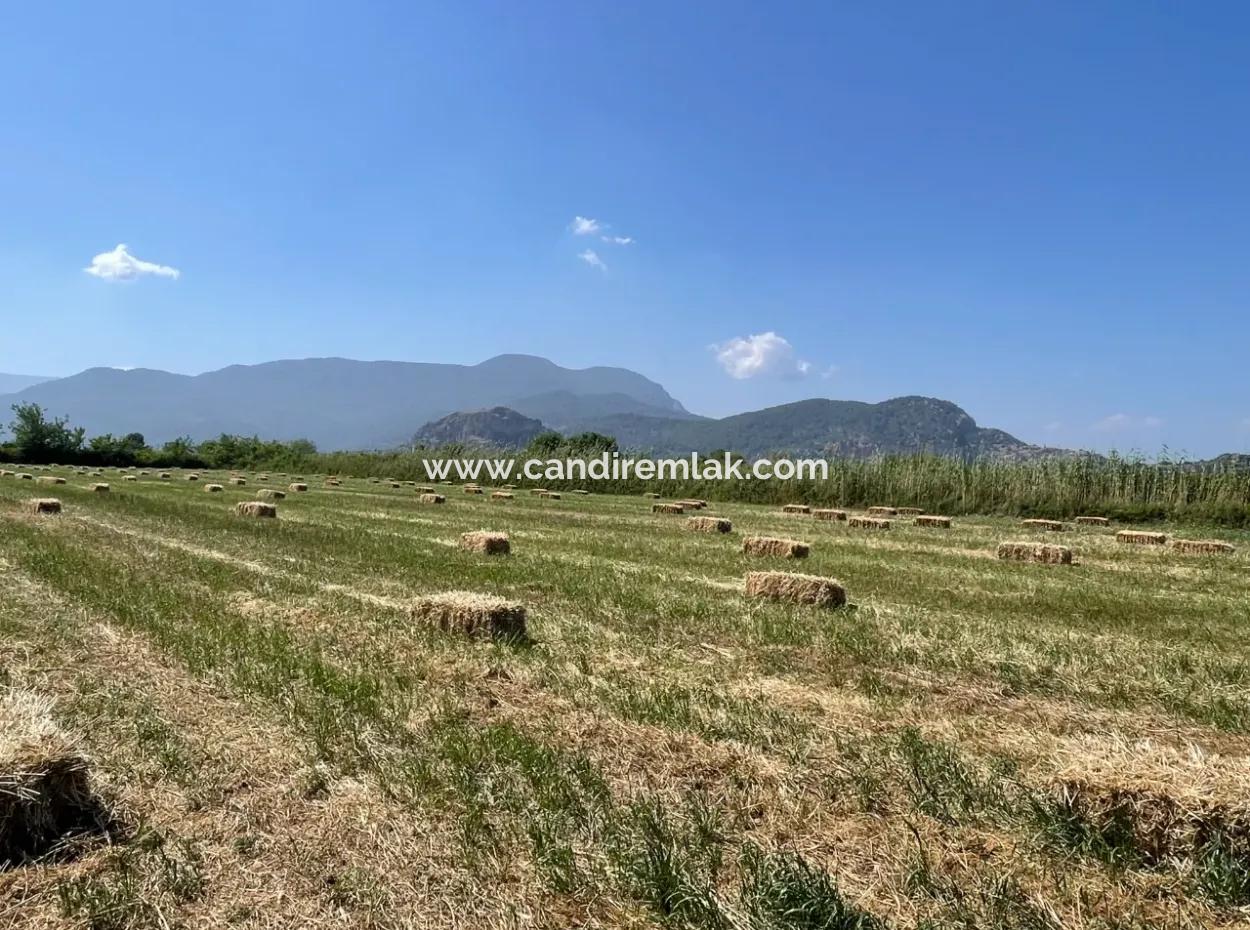6,500M2 Field For Sale On The Iztuzu Road In Dalyan