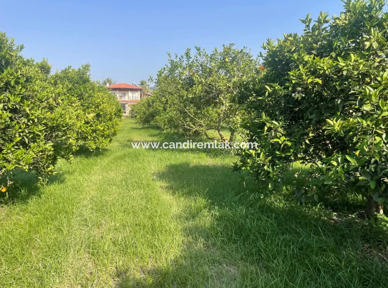 Land For Sale In Gulpinar, Dalyan 722M2