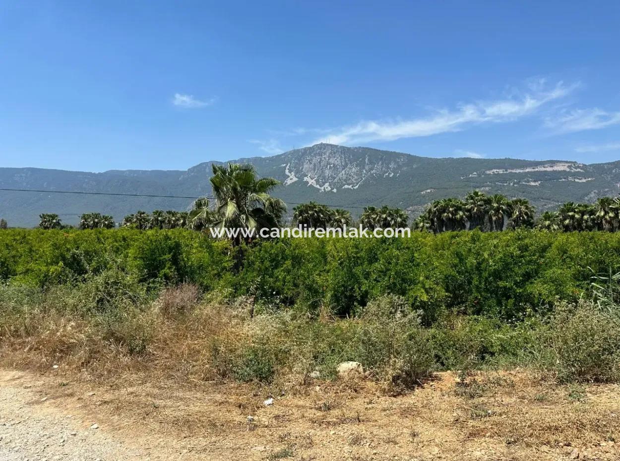 13,500M2 Roadfront Field For Sale In Akyaka Akçapınar