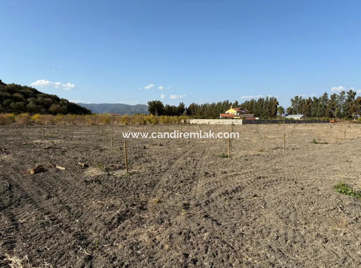19.663M2 Farm Land And House For Sale In Eskiköy