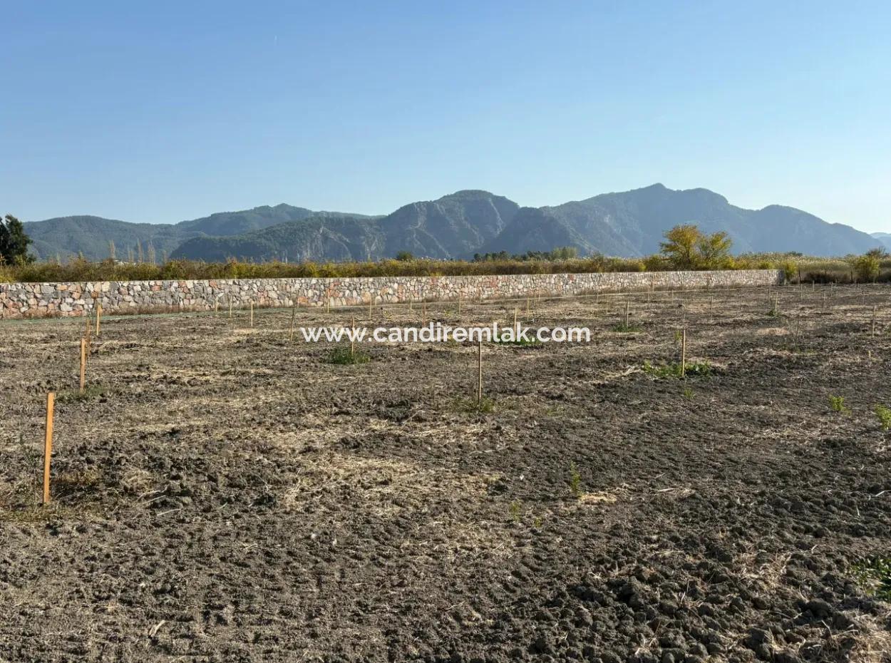 19.663M2 Farm Land And House For Sale In Eskiköy