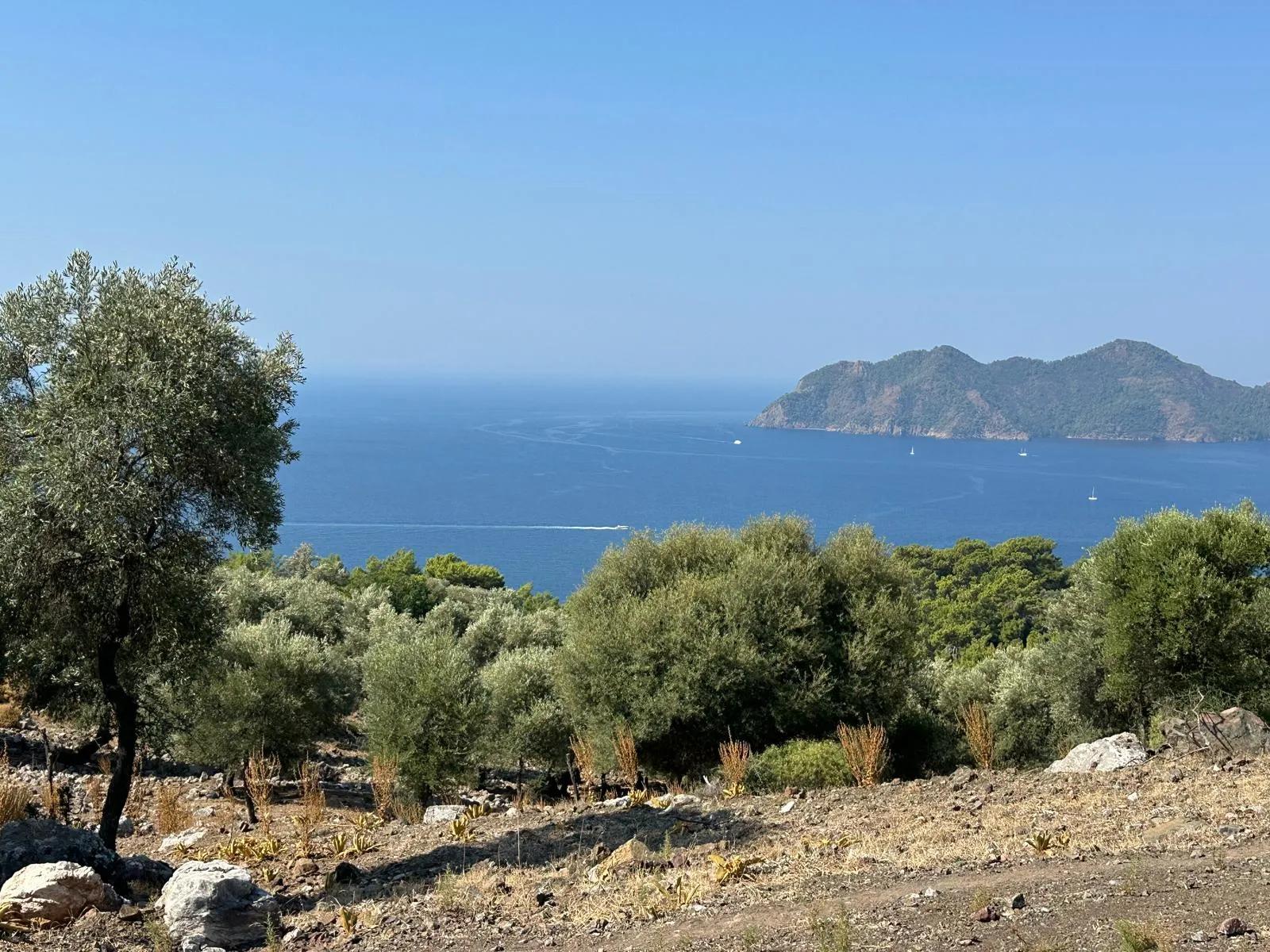 В Çandır с видом на море 21.000 m2 продаётся 2b поле
