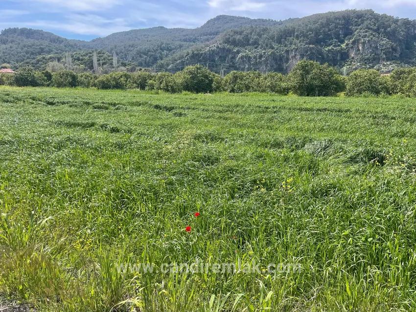 В Окчуларе 736m2 Общая Площадь 250m2 Строительная Разрешение Имеется Продается Земельный Участок