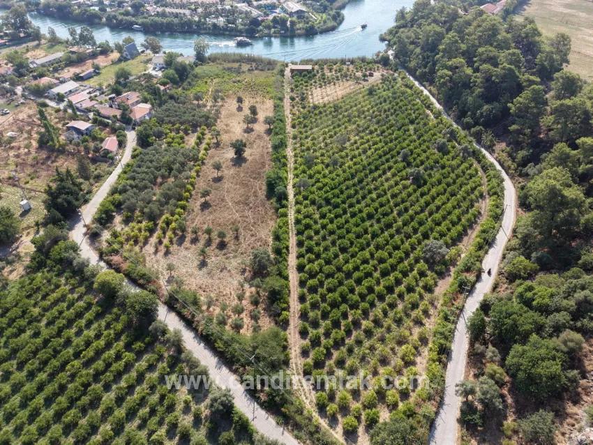 Село Köyceğiz в районе Çandır, у канала, 20.000м2 продажа поля