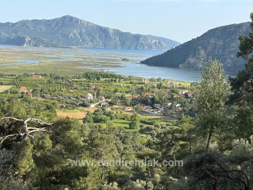 Для продажи Поле в Çandır Köyceğiz - Под Поле застройку - 1.252 m²