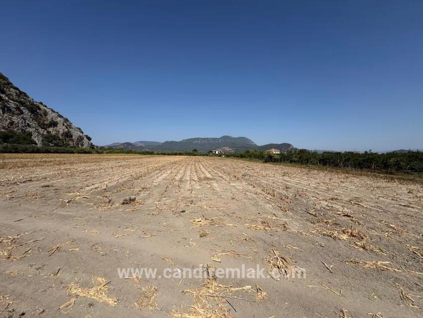 Для продажи Поле в Dalyan Ortaca - Под Поле застройку - 20.786 m²