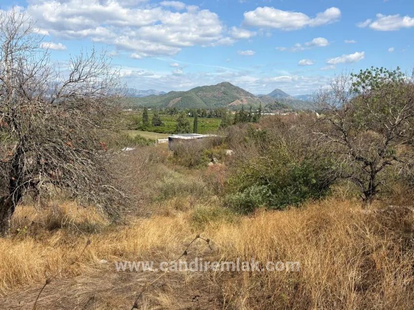 Для продажи Поле в Dalyan Ortaca - Под Поле застройку - 5.000 m²
