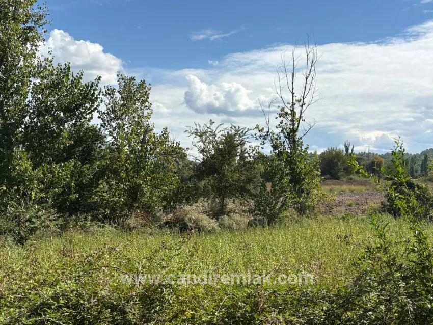 Для продажи Поле в Zeytinalanı Köyceğiz - Под Поле застройку - 10.500 m²
