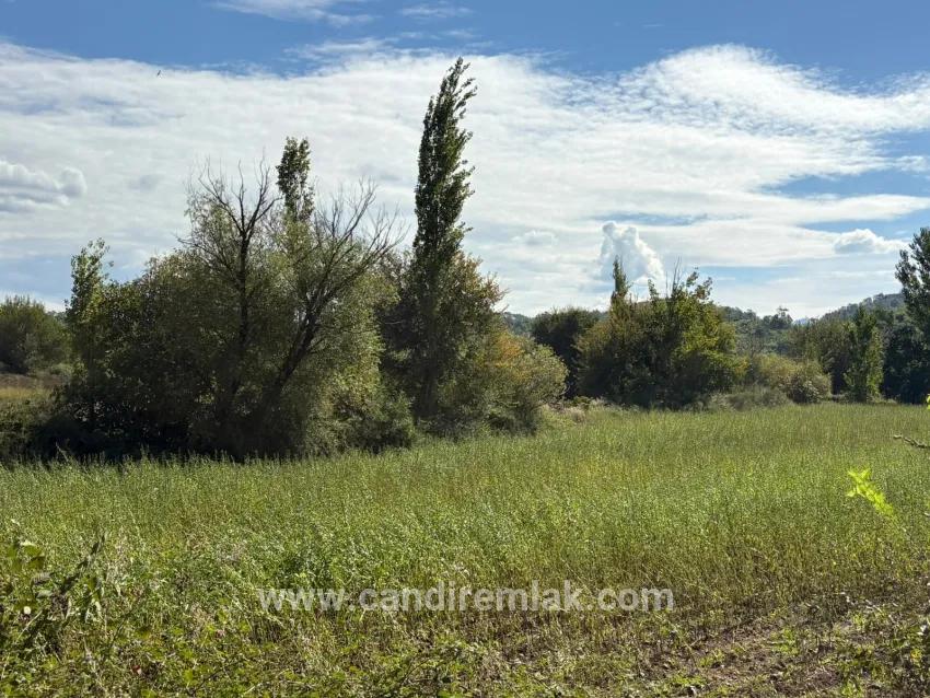 Для продажи Поле в Zeytinalanı Köyceğiz - Под Поле застройку - 10.500 m²