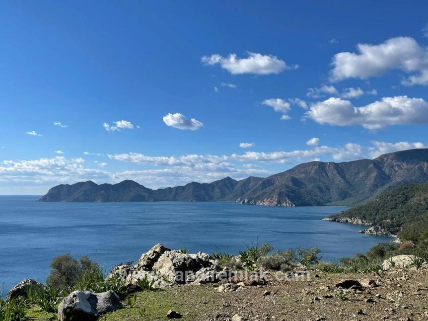 Чандыр 20.000m2 2b С Полным Видом На Море На Продажу