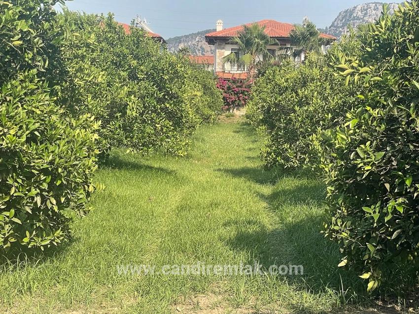 Земля 722м2 На Продажу В Дальян Гюльпынар