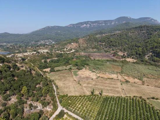 Село Köyceğiz в районе Çandır, у канала, 20.000м2 продажа поля