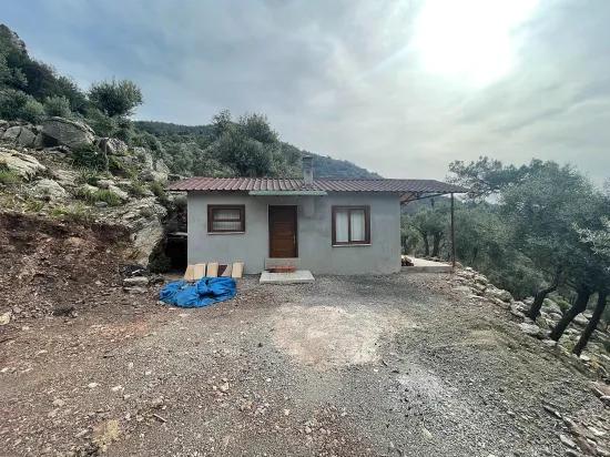 Köyceğiz Ekincik масличный сад с видом на море 7.000m2 2b на продажу