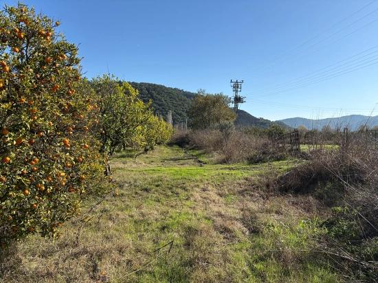 Продается Отдельно Стоящий Земельный Участок Площадью 23 000 М² В Тепеарасы.