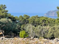 Для продажи Поле в Çandır Köyceğiz - Под Жилье застройку - 10.481 m²