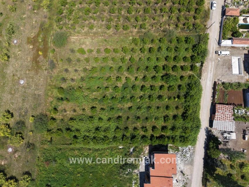 Okçular'da 1050m2 Köy Yerleşik Alanında Satılık Arsa