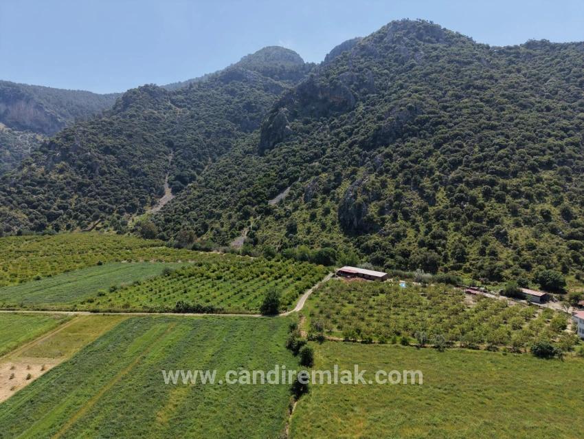 Dalyan Merkeze Yakın 5100m2 Satılık Tarla