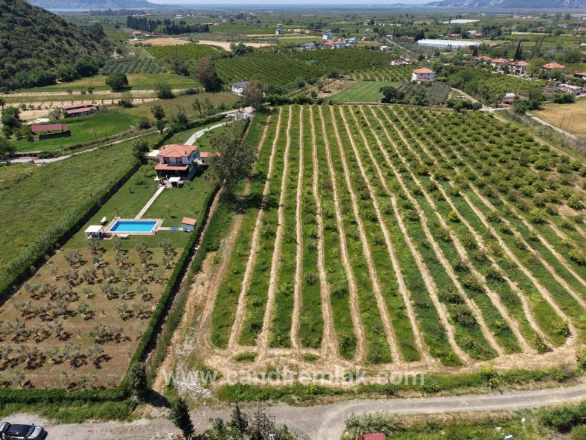 Dalyan Merkeze Yakın 5100m2 Satılık Tarla