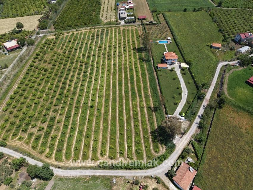 Dalyan Merkeze Yakın 5100m2 Satılık Tarla