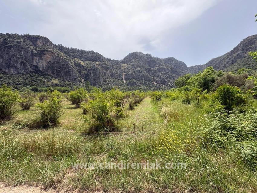 Okçular Marmarlı'da 2100 M2 Satılık Arsa