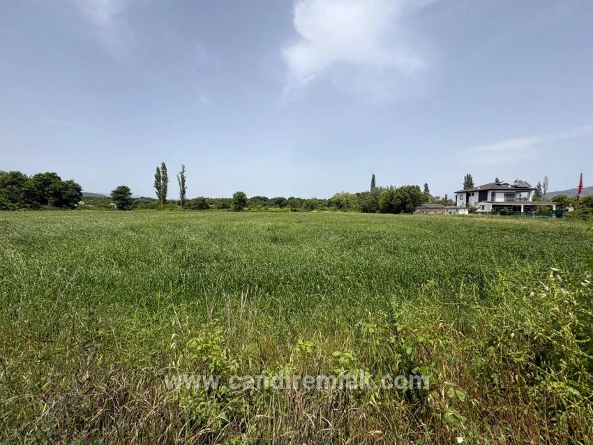 Okçular Marmarlı'da 2390m2 Satılık Arsa